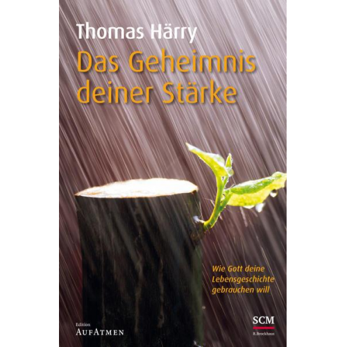 Thomas Härry - Das Geheimnis deiner Stärke