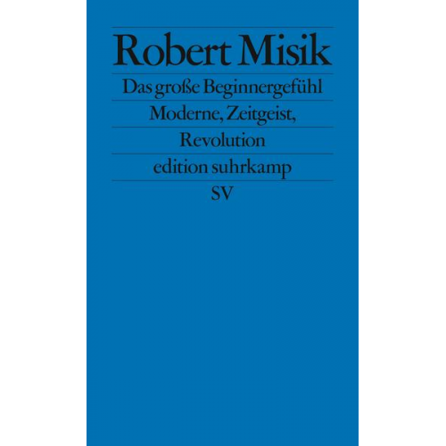 Robert Misik - Das große Beginnergefühl