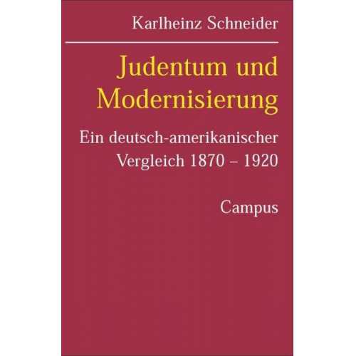 Karlheinz Schneider - Judentum und Modernisierung