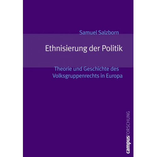 Samuel Salzborn - Ethnisierung der Politik