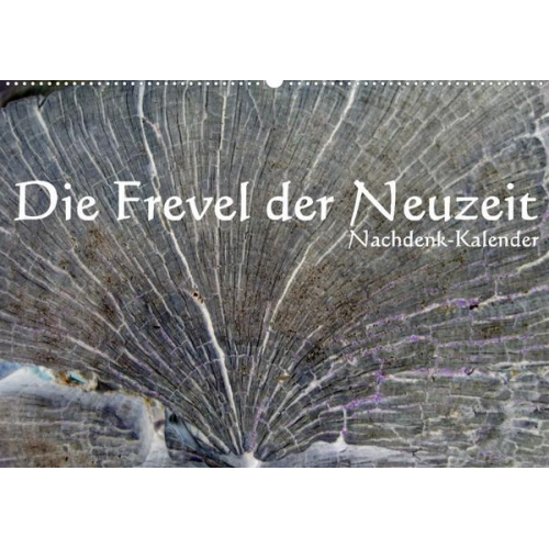 Jürgen Lemmermann - Die Frevel der Neuzeit - Nachdenk-Kalender (Wandkalender 2022 DIN A2 quer)