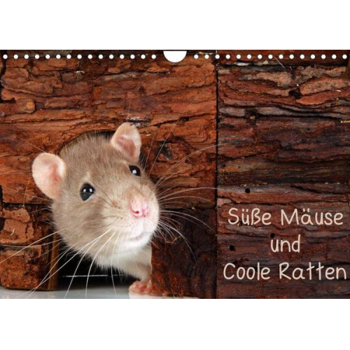 Klaus Eppele - Süße Mäuse und Coole Ratten (Wandkalender 2022 DIN A4 quer)