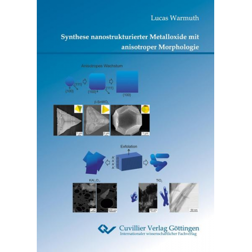 Lucas Warmuth - Synthese nanostrukturierter Metalloxide mit anisotroper Morphologie