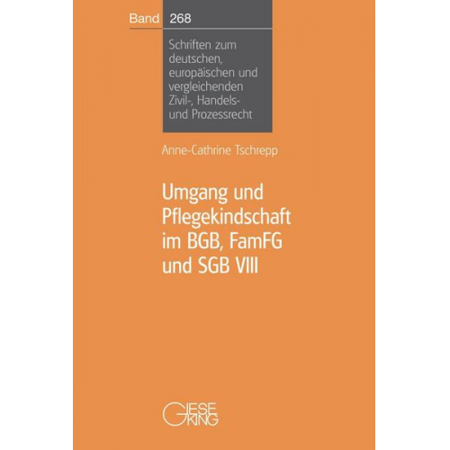 Anne-Cathrine Tschrepp - Umgang und Pflegekindschaft im BGB, FamFG und SGB VIII