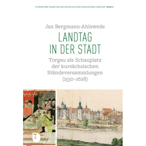 Jan Bergmann-Ahlswede - Landtag in der Stadt