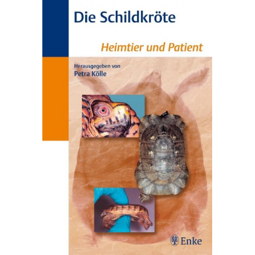 Petra Kölle - Die Schildkröte