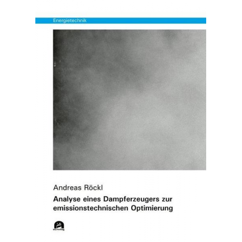 Andreas Röckl - Analyse eines Dampferzeugers zur emissionstechnischen Optimierung