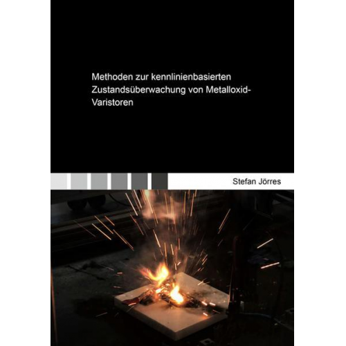 Stefan Jörres - Methoden zur kennlinienbasierten Zustandsüberwachung von Metalloxid-Varistoren