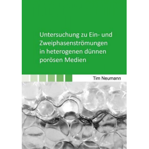 Tim Neumann - Untersuchung zu Ein- und Zweiphasenströmungen in heterogenen dünnen porösen Medien