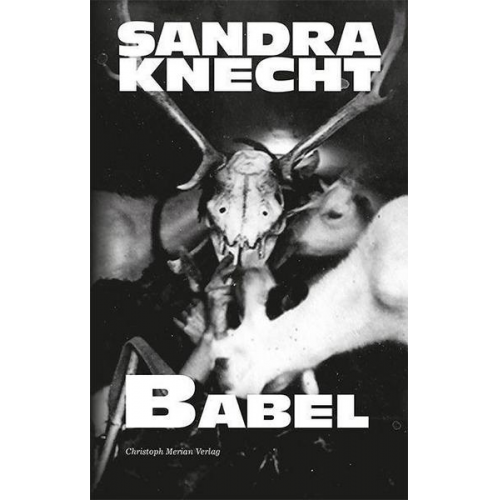 Sandra Knecht - Babel