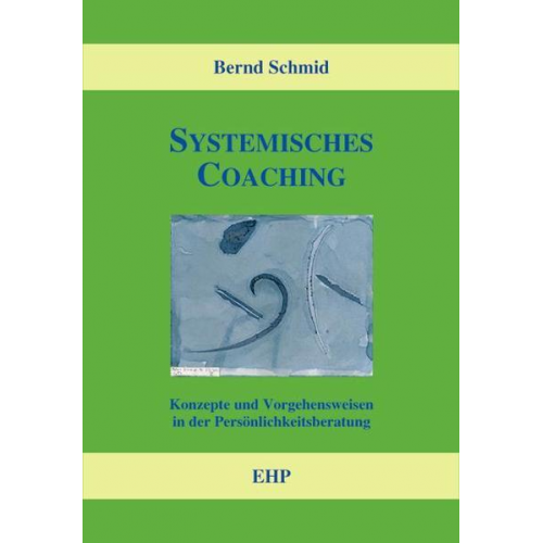 Bernd Schmid - Systemisches Coaching