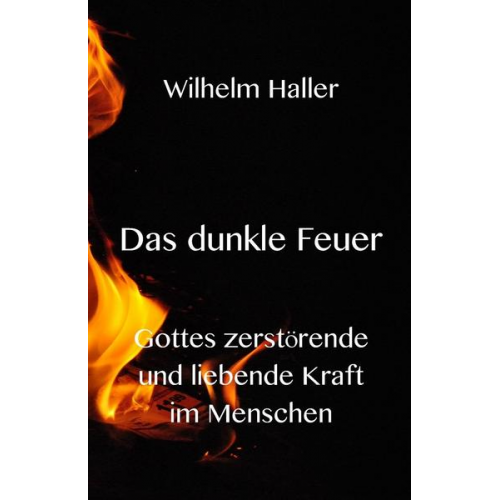 Wilhelm Haller - Das dunkle Feuer