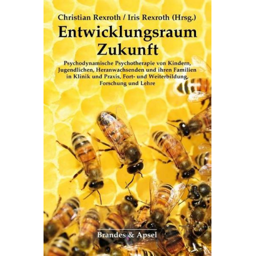 Entwicklungsraum Zukunft