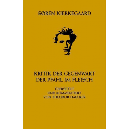 Søren Kierkegaard - Kritik der Gegenwart. Der Pfahl im Fleisch