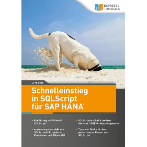 Jörg Böke - Schnelleinstieg in SQLScript für SAP HANA