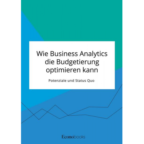 Anonym - Wie Business Analytics die Budgetierung optimieren kann. Potenziale und Status Quo