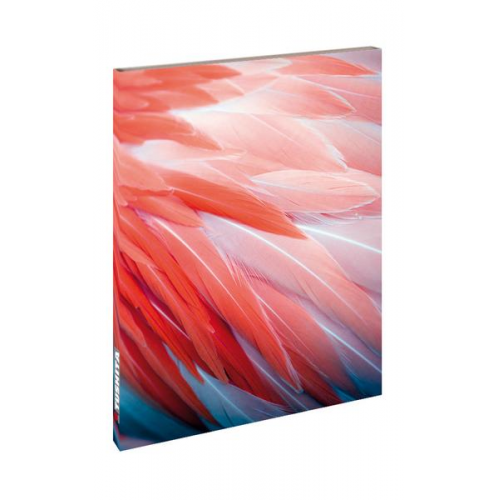 Flamingo Feathers