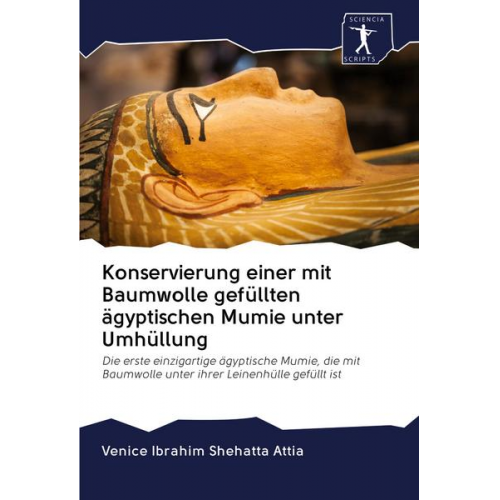 Venice Ibrahim Shehatta Attia - Konservierung einer mit Baumwolle gefüllten ägyptischen Mumie unter Umhüllung