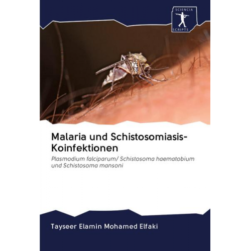 Tayseer Elamin Mohamed Elfaki - Malaria und Schistosomiasis-Koinfektionen