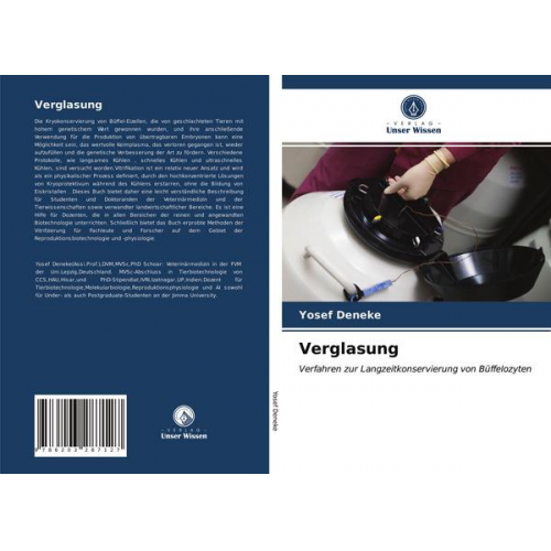 Yosef Deneke - Verglasung