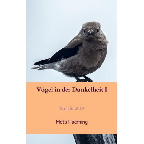 Meta Flaeming - Vögel in der Dunkelheit I