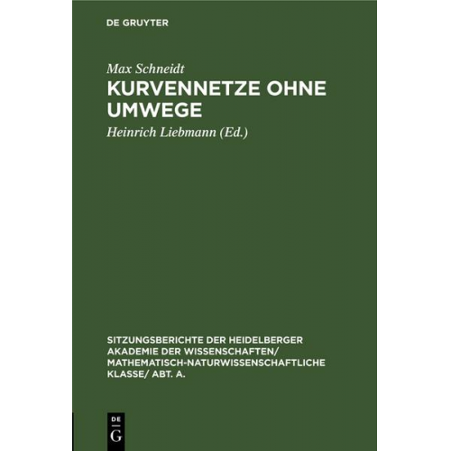 Max Schneidt - Kurvennetze ohne Umwege