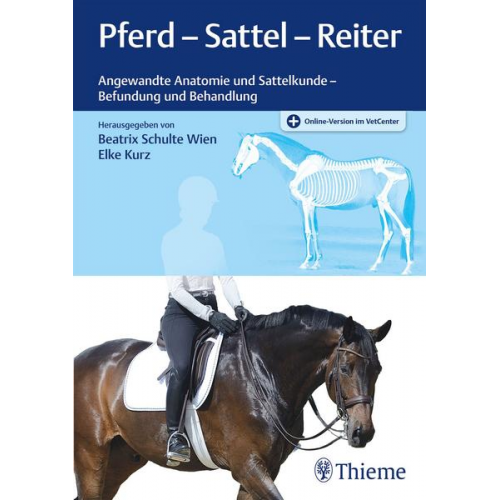 Pferd - Sattel - Reiter