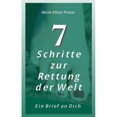 Akim Elliot Pinter - 7 Schritte zur Rettung der Welt