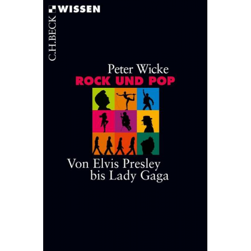 Peter Wicke - Rock und Pop