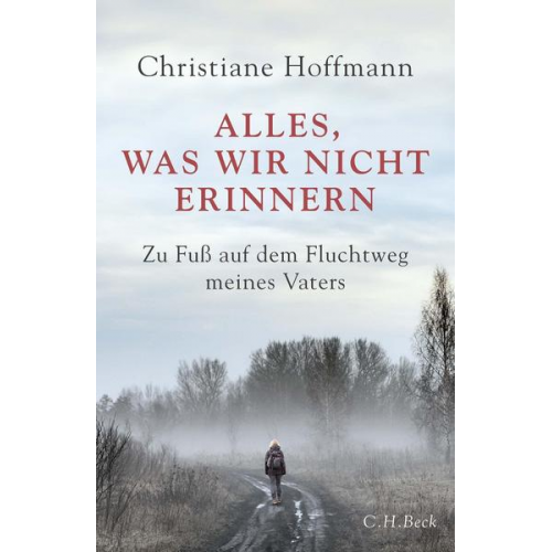 Christiane Hoffmann - Alles, was wir nicht erinnern