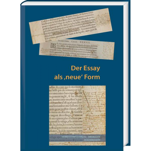 Der Essay als 'neue' Form