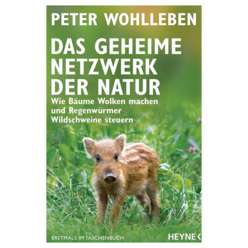 Peter Wohlleben - Das geheime Netzwerk der Natur