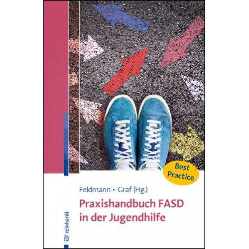 Praxishandbuch FASD in der Jugendhilfe