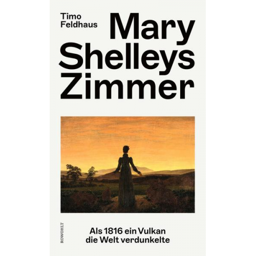 Timo Feldhaus - Mary Shelleys Zimmer