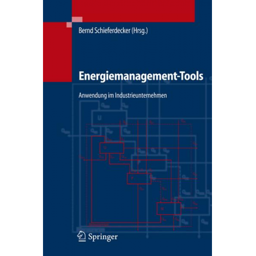 Bernd Schieferdecker & Christian Fünfgeld & Alexis Bonneschky - Energiemanagement-Tools