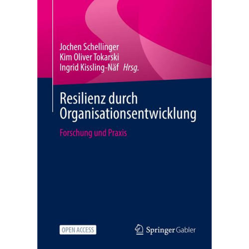 Resilienz durch Organisationsentwicklung