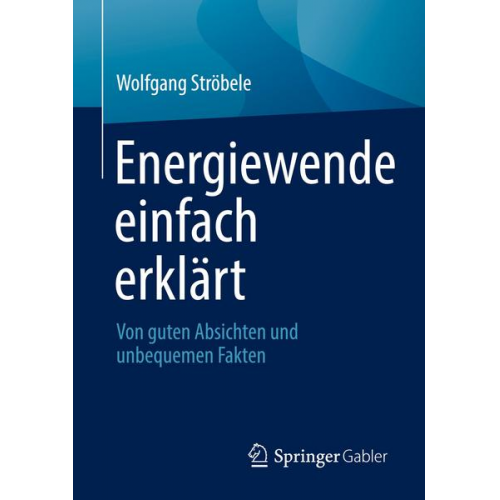 Wolfgang Ströbele - Energiewende einfach erklärt