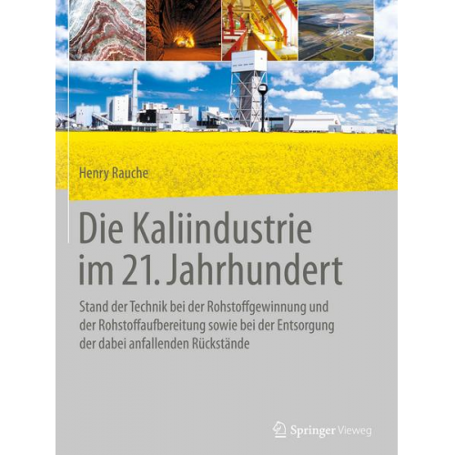 Henry Rauche - Die Kaliindustrie im 21. Jahrhundert