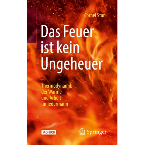 Cornel Stan - Das Feuer ist kein Ungeheuer