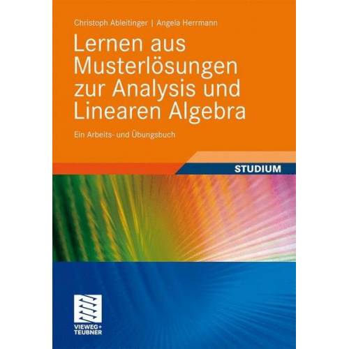 Angela Herrmann & Christoph Ableitinger - Lernen aus Musterlösungen zur Analysis und Linearen Algebra