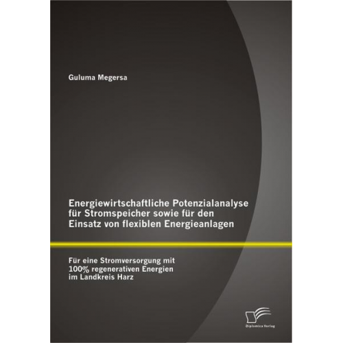 Guluma Megersa - Energiewirtschaftliche Potenzialanalyse für Stromspeicher sowie für den Einsatz von flexiblen Energieanlagen