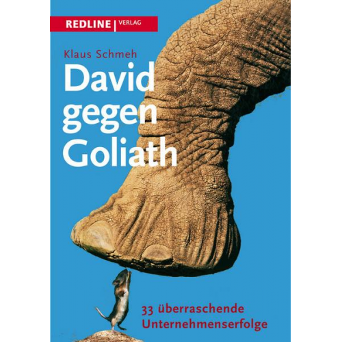 Klaus Schmeh - David gegen Goliath