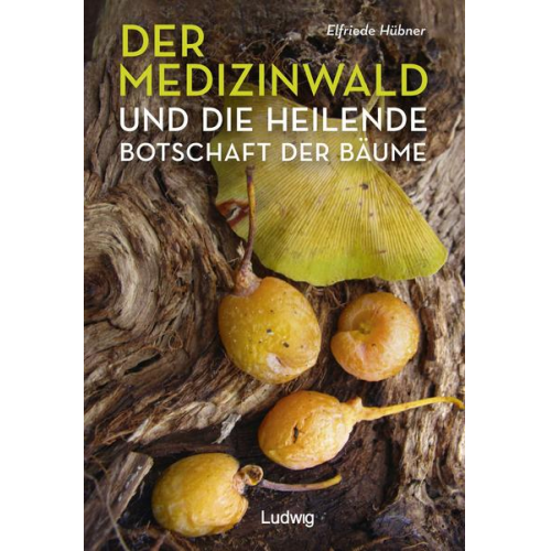 Elfriede Hübner - Der Medizinwald und die heilende Botschaft der Bäume.