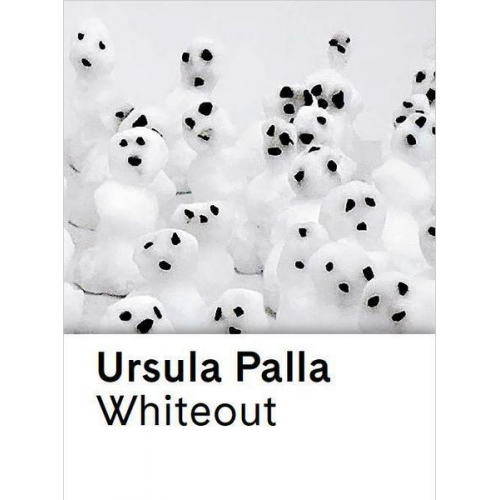 Angelika Affentranger-Kirchrath & Stephan Kunz & Isabel Zürcher - Ursula Palla. Whiteout