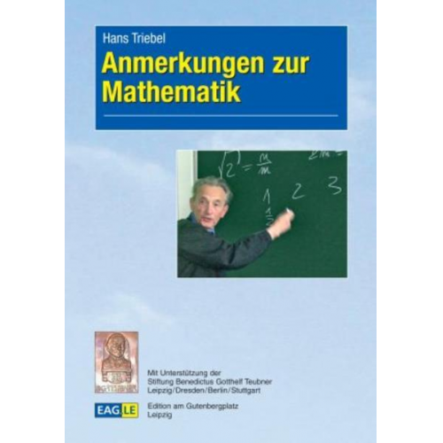 Hans Triebel - Anmerkungen zur Mathematik