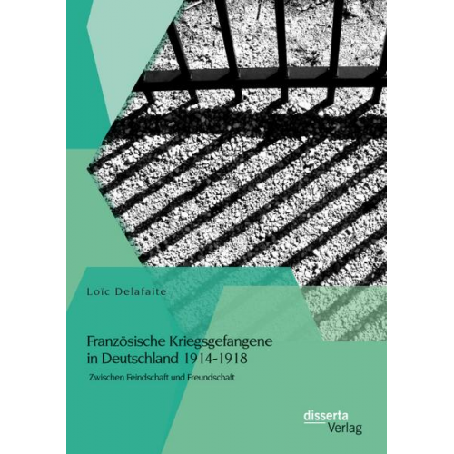 Loïc Delafaite - Französische Kriegsgefangene in Deutschland 1914-1918: Zwischen Feindschaft und Freundschaft