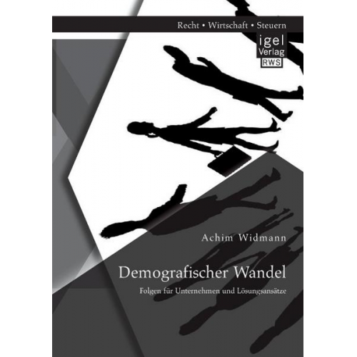 Achim Widmann - Demografischer Wandel: Folgen für Unternehmen und Lösungsansätze