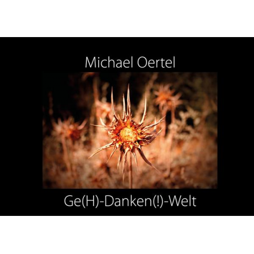 Michael Oertel - Ge(H)-Danken(!)-Welt