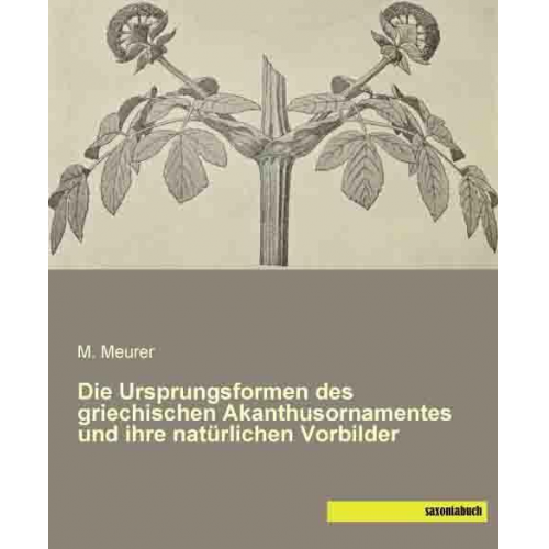 M. Meurer - Meurer, M: Ursprungsformen des griechischen Akanthusornament