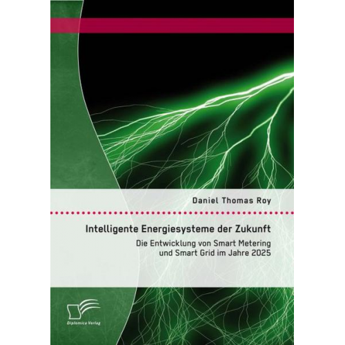 Daniel Thomas Roy - Intelligente Energiesysteme der Zukunft: Die Entwicklung von Smart Metering und Smart Grid im Jahre 2025